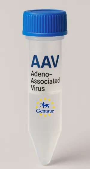 SYCN AAV Vector (Mouse) (CMV)