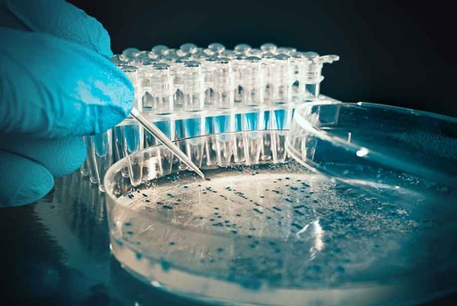 [36-T2234149] Paraffin Embedded Tissue slide